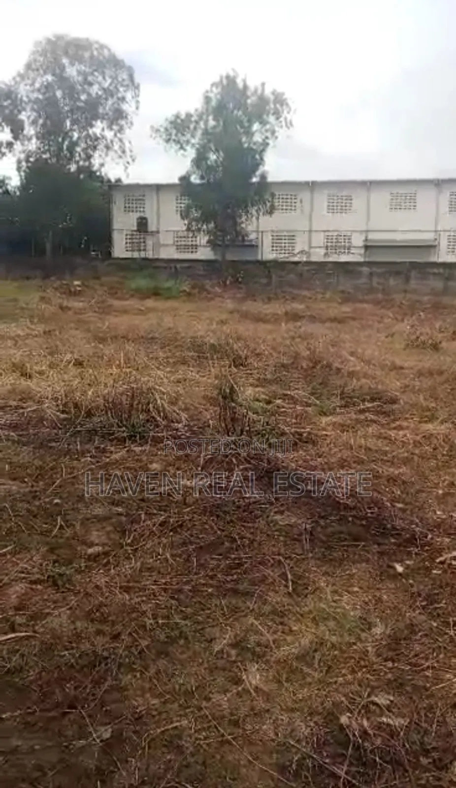 Yard for Rent at Mbagara Rangi Tatu in Mbagala