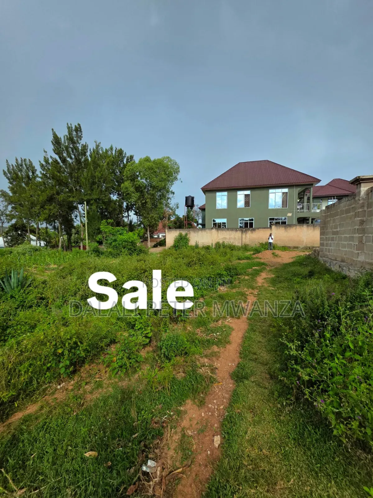 Kiseke Mwanza in Ilemela Ward