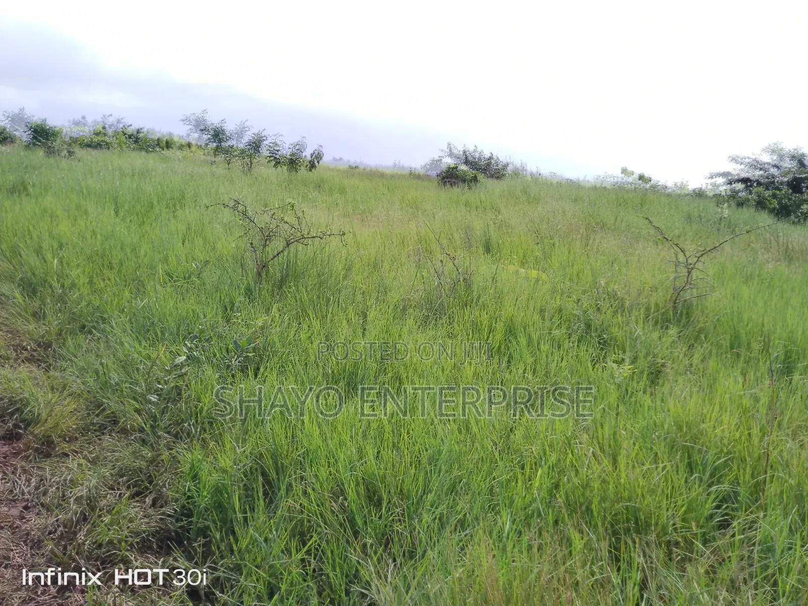 Shamba Linauzwa in Mzenga