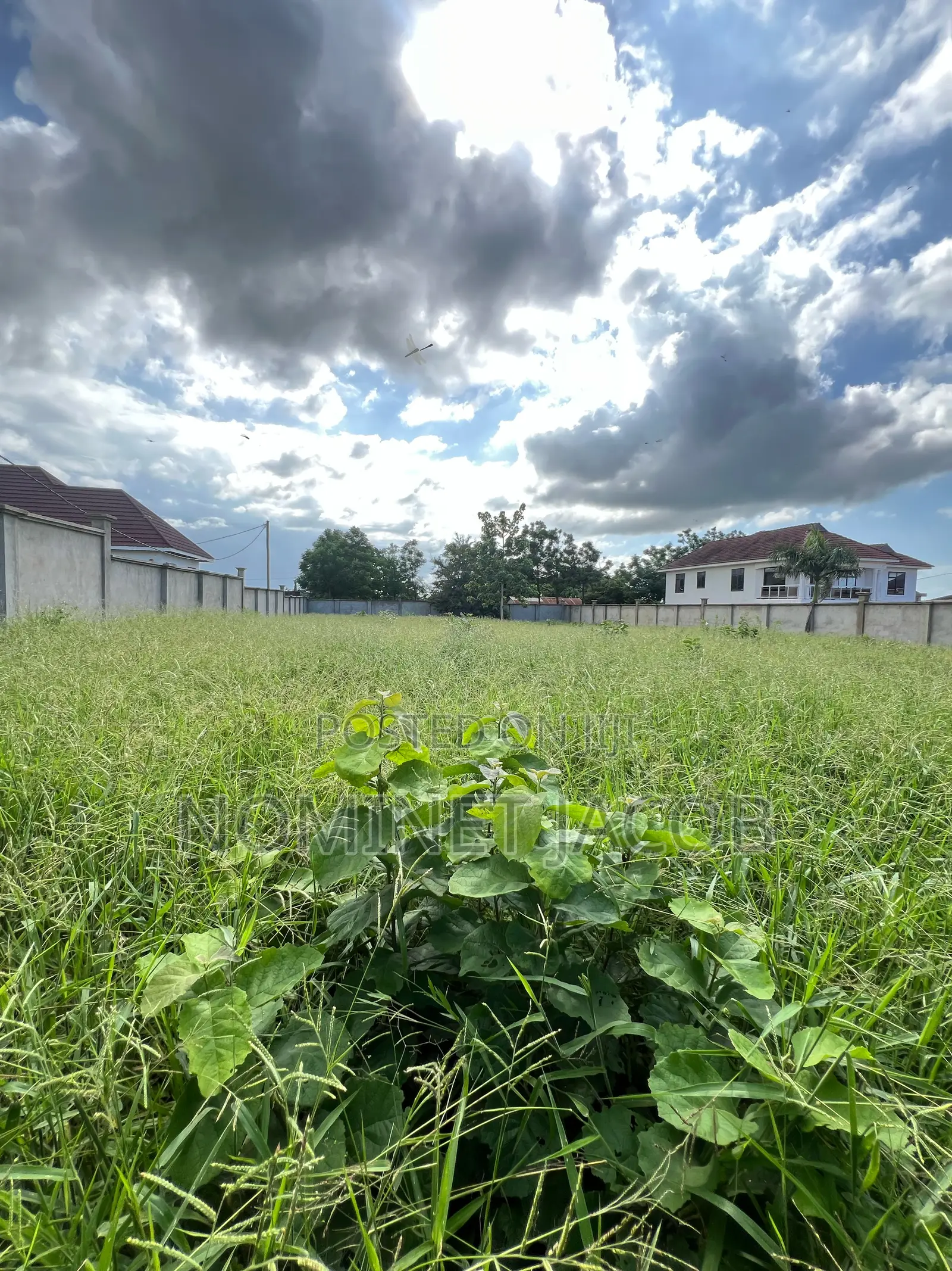 Plot for Sale in Bunju