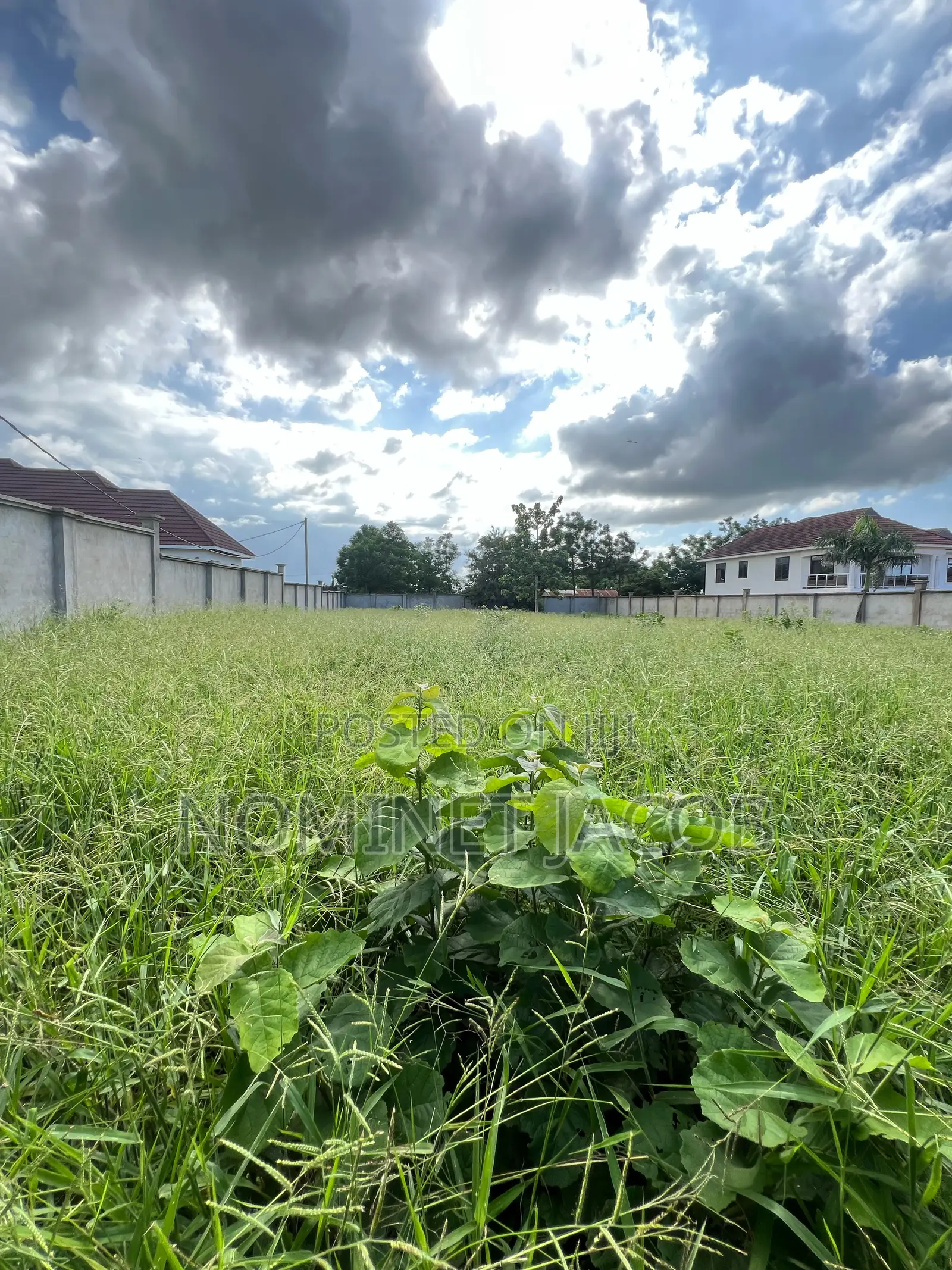 Plot for Sale in Bunju