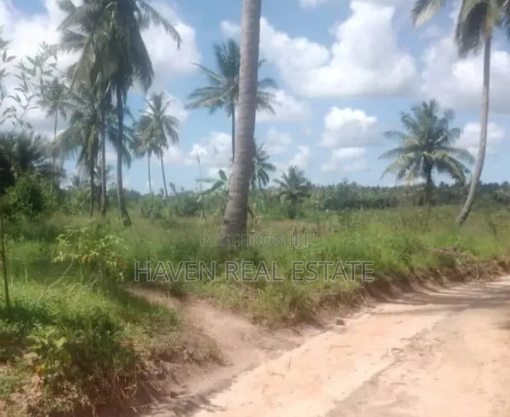 11 Acres Zinauzwa Mkuranga Dundani in Kimanzichana