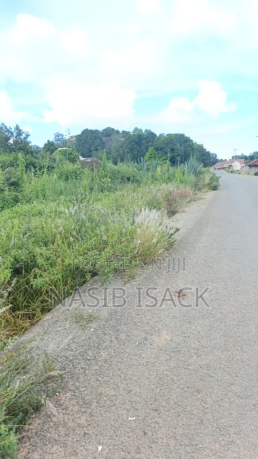Plot for Sale 2000 Nyegezi in Mkolani