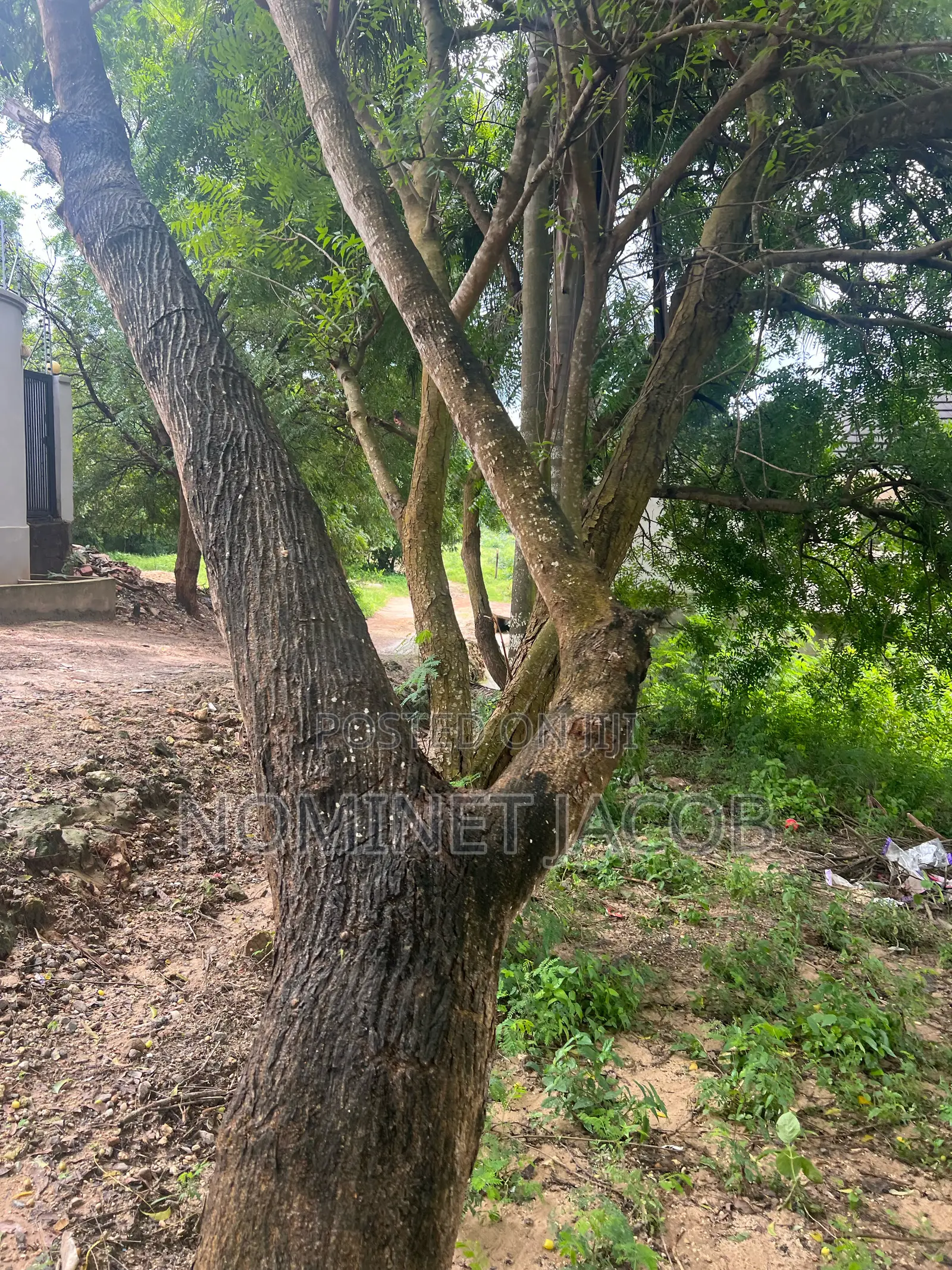 Plot for Sale in Kunduchi