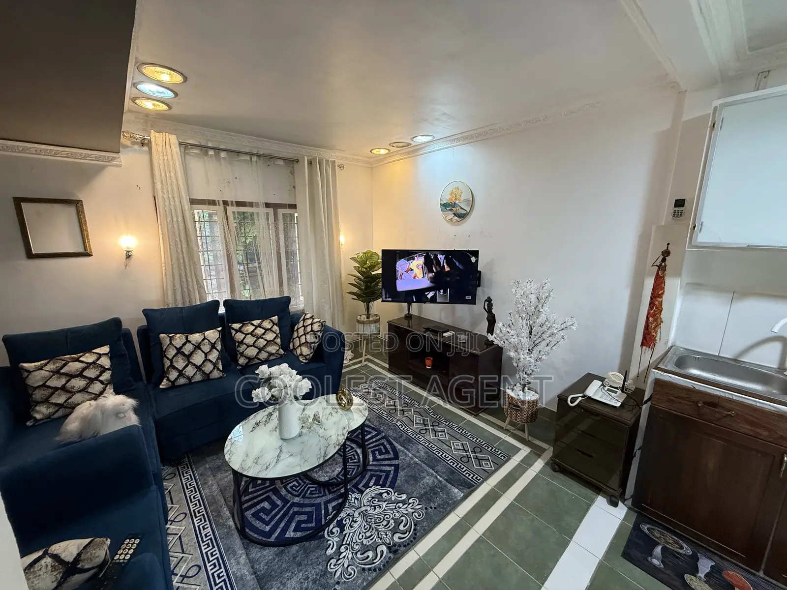Furnished 1bdrm House in Coolest Estate, Oyster Bay for rent in Oyster Bay