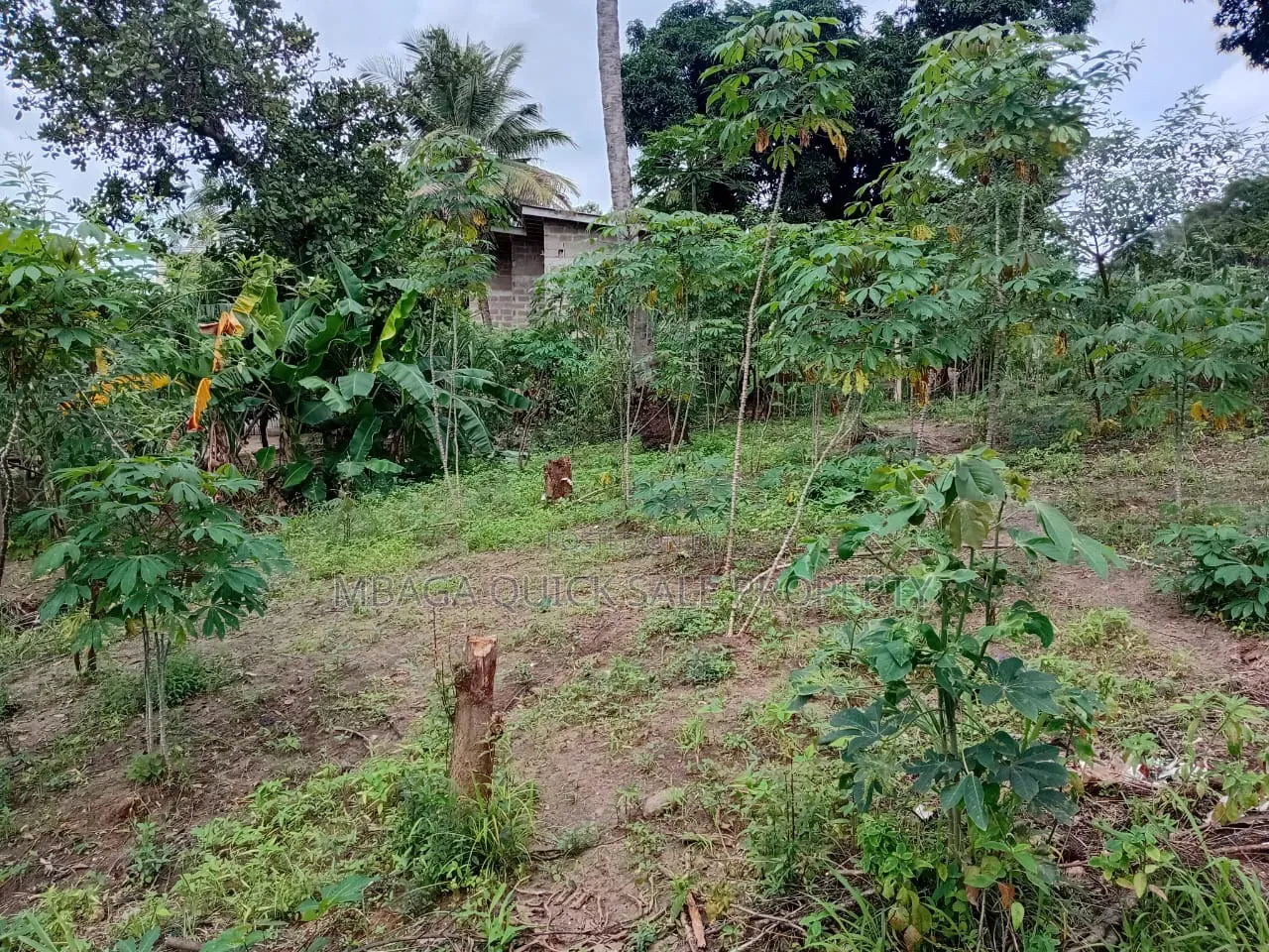 Plot Area SQM 400 for Sale at Goba in Goba