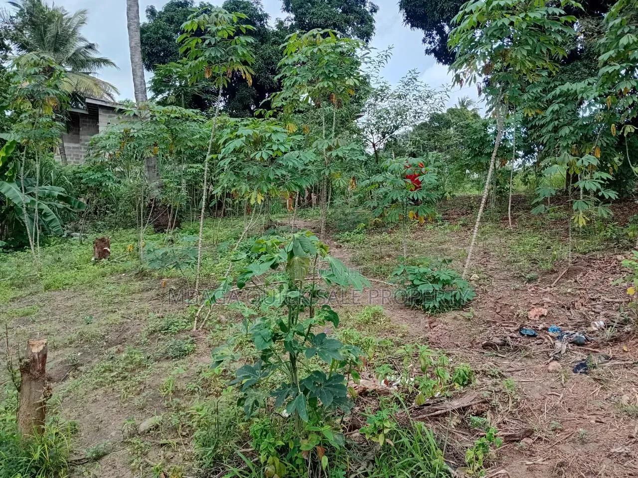 Plot Area SQM 400 for Sale at Goba in Goba