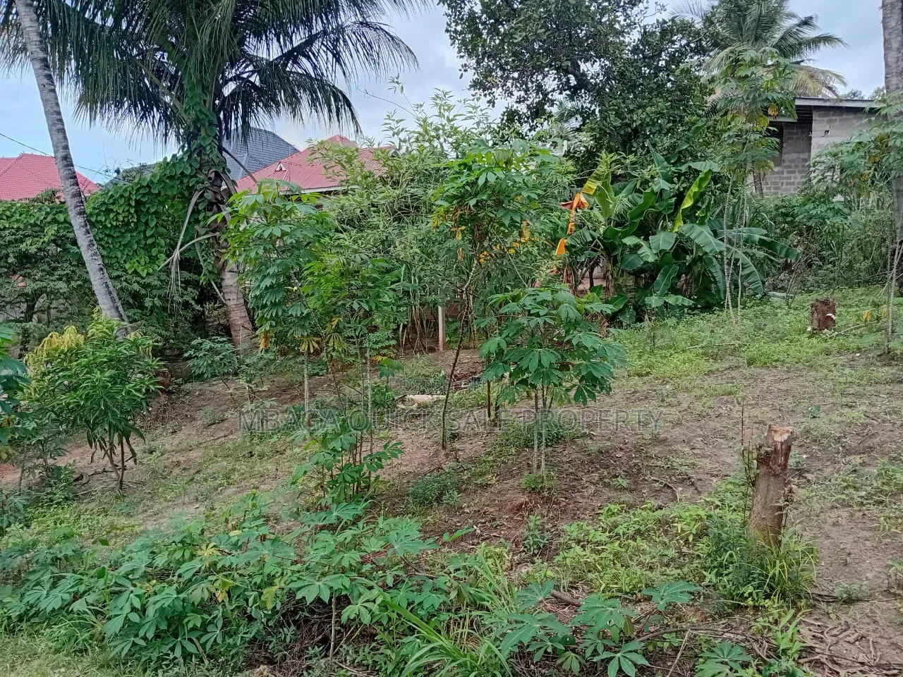 Plot Area SQM 400 for Sale at Goba in Goba