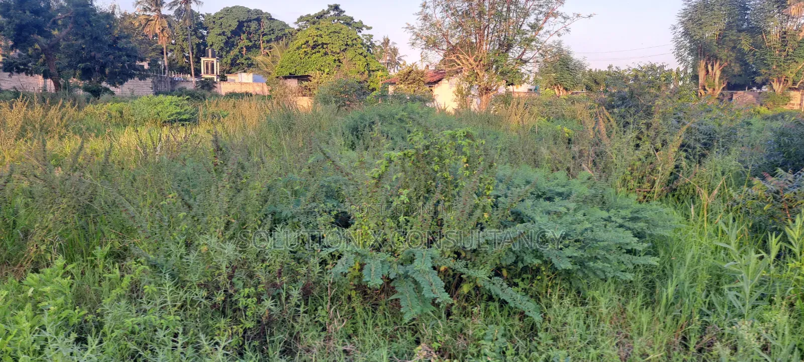 Yard for Rent at Boko Chama in Bunju