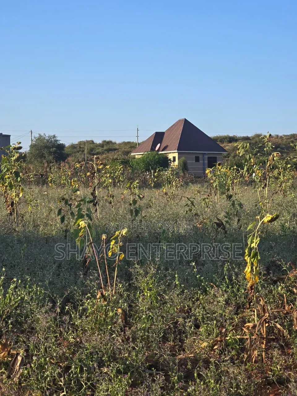 Kiwanja Kinauzwa in Bunju