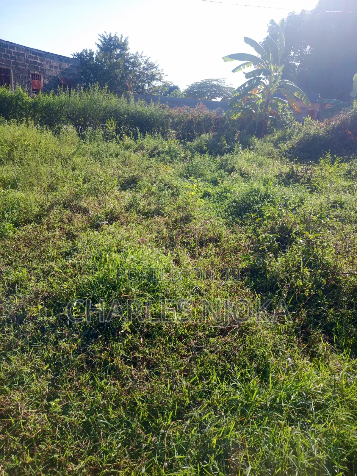 Kiwanja Hiki Kina Sqm 300 Matumizi Yake Makazi Kipo Chuorada Ilala Dsm in Ilala
