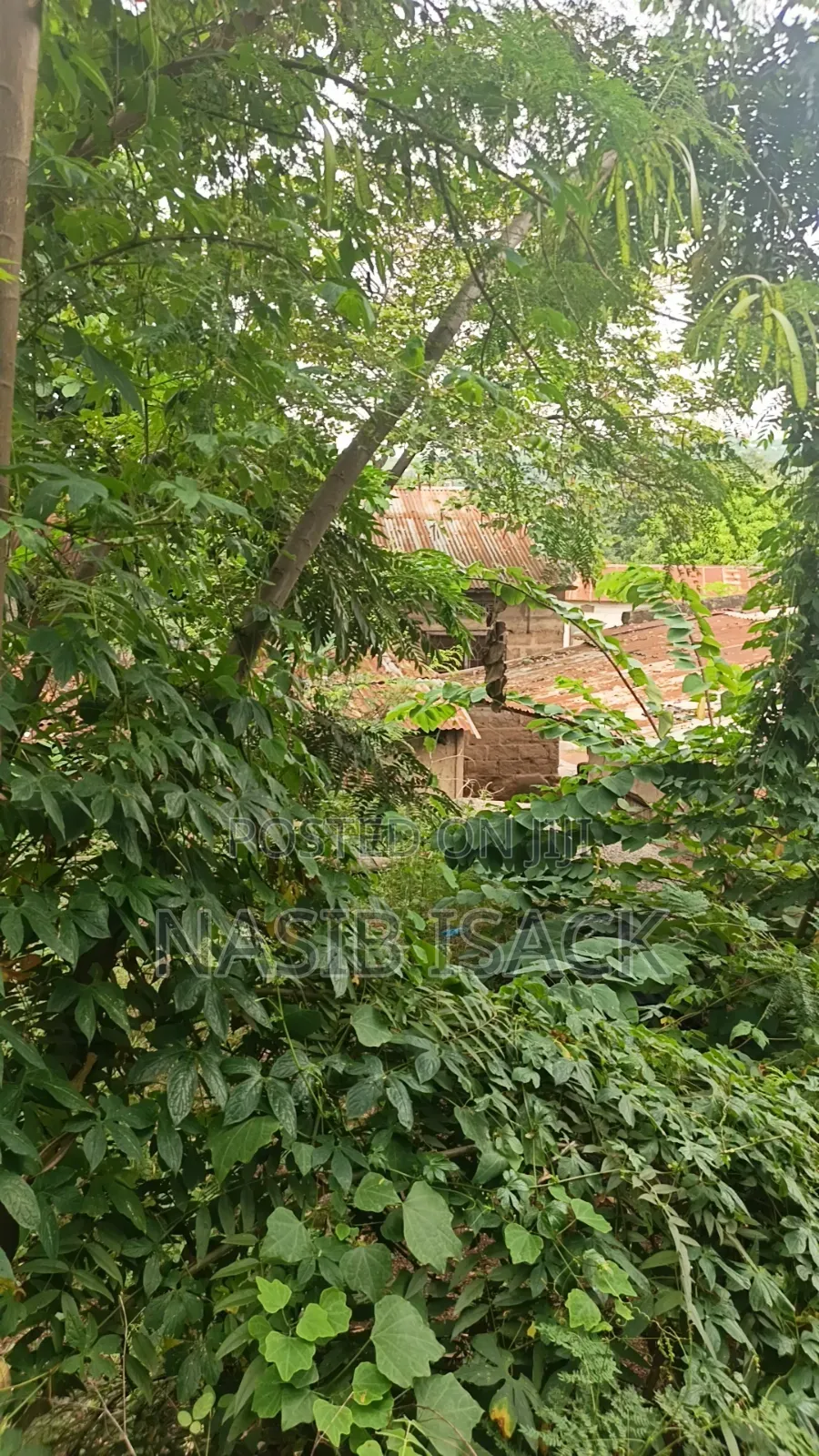 Plot for Sale Mwanza in Mecco