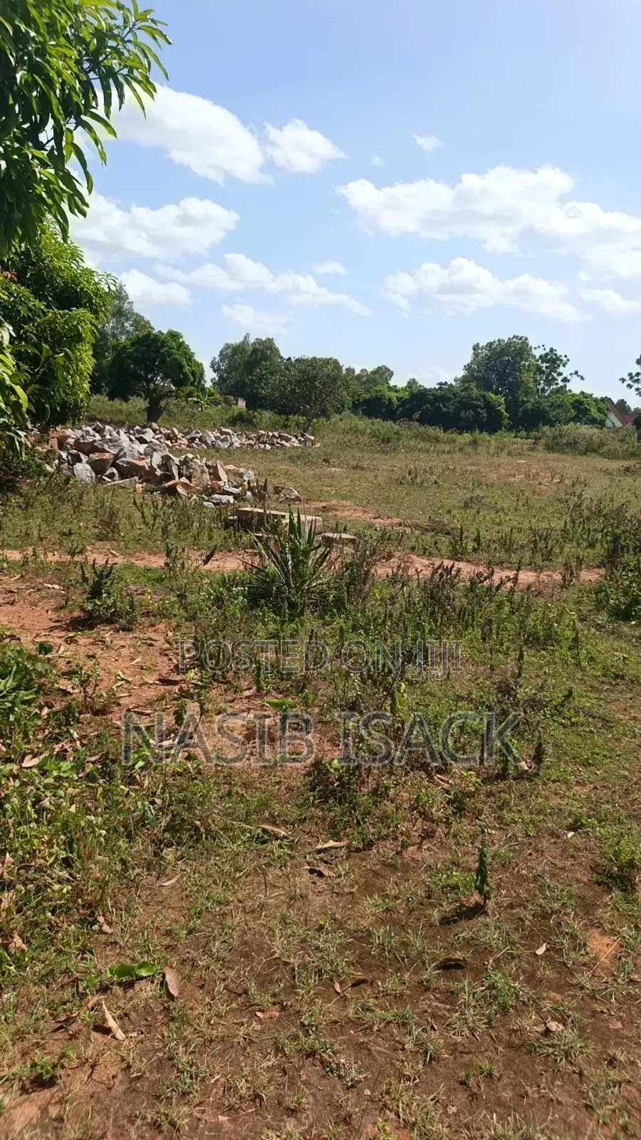 Plot for Sale Nyamhongoro in Nyamongoro