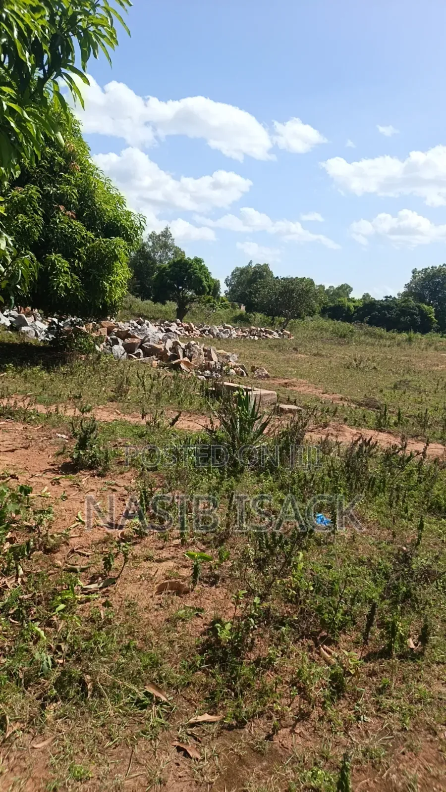 Plot for Sale Nyamhongoro in Nyamongoro
