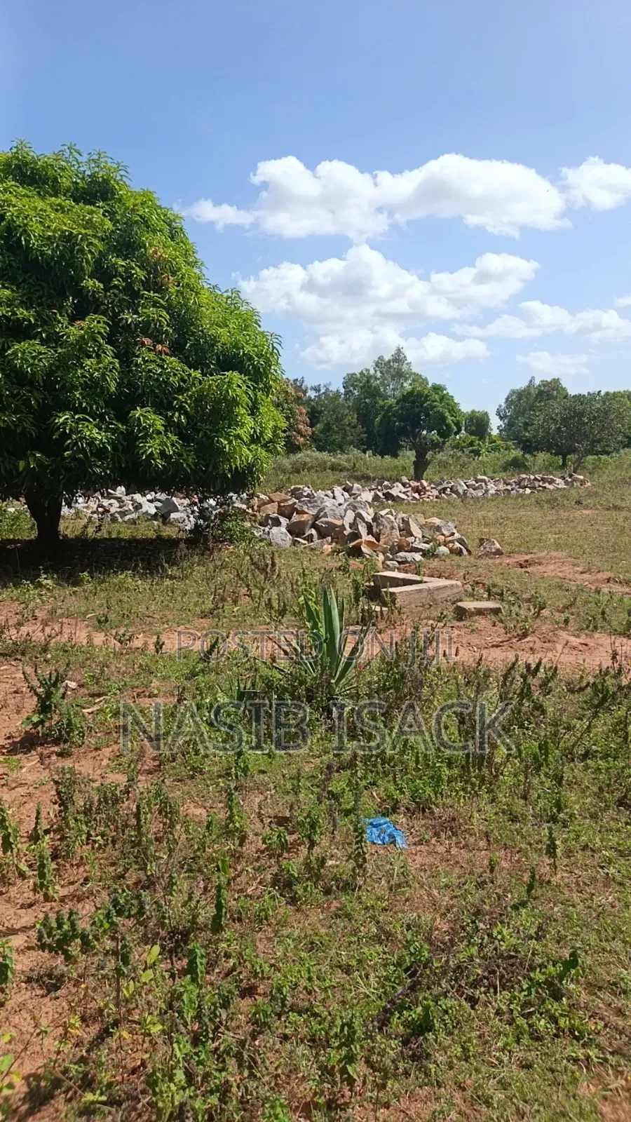 Plot for Sale Nyamhongoro in Nyamongoro