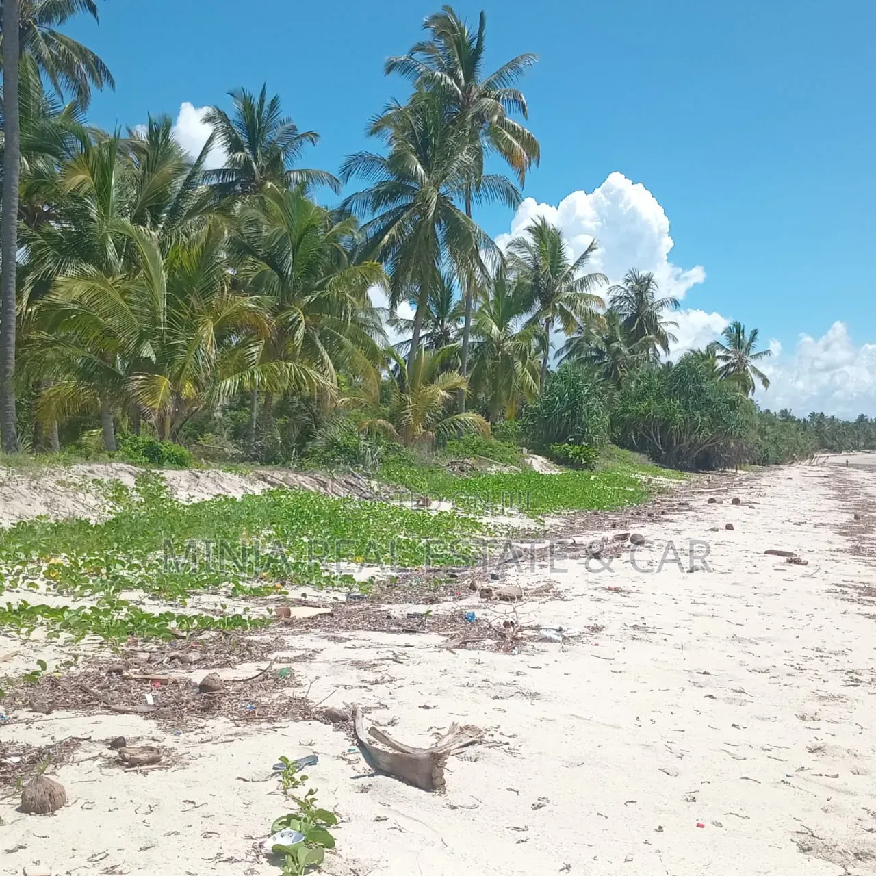 Beach Plot for Sale Ushingo Pangani Tanga in Pangani A (West)