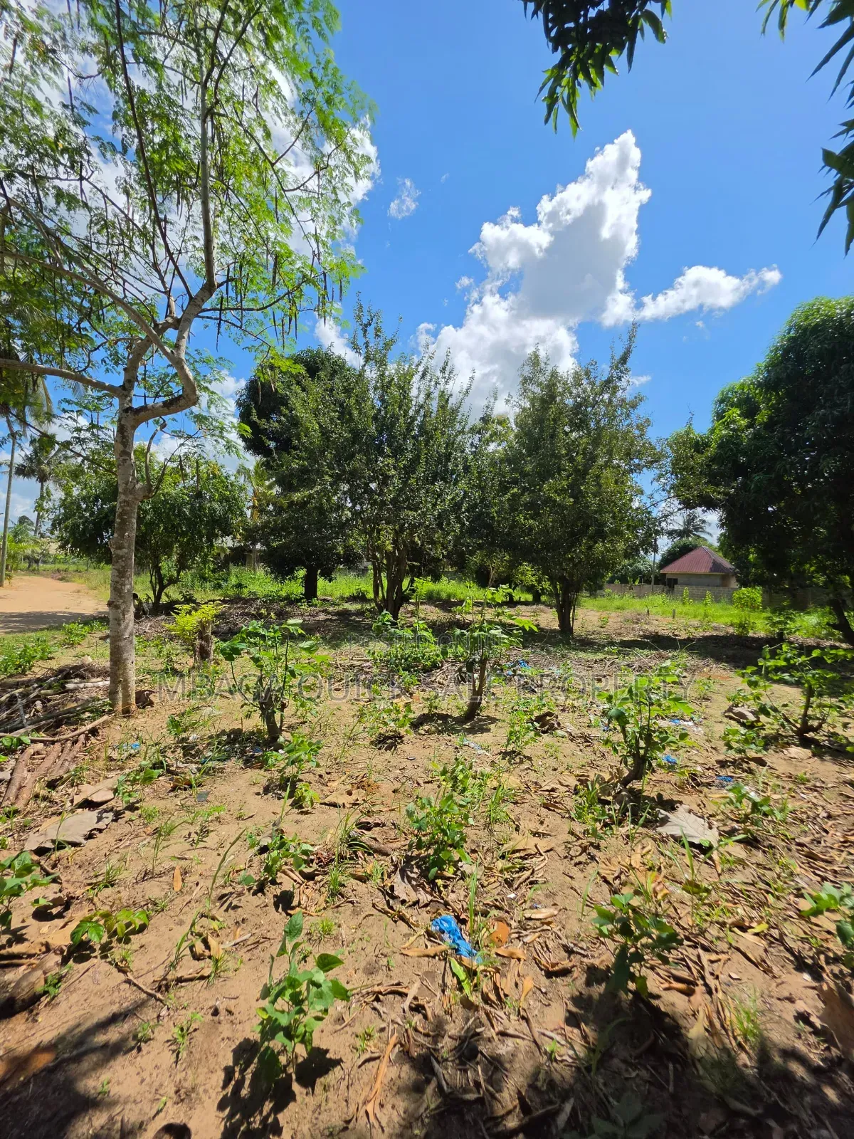 Plot for Sale at Madale Mbopo in Goba