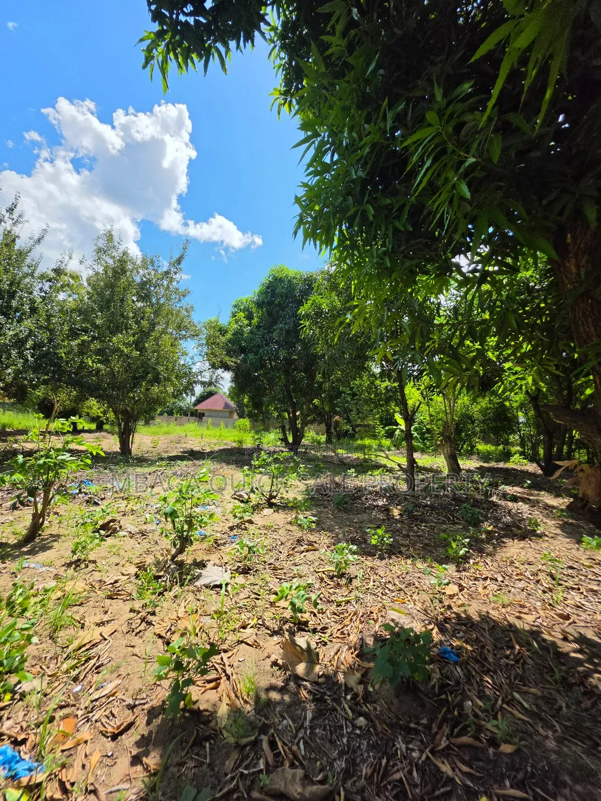 Plot for Sale at Madale Mbopo in Goba