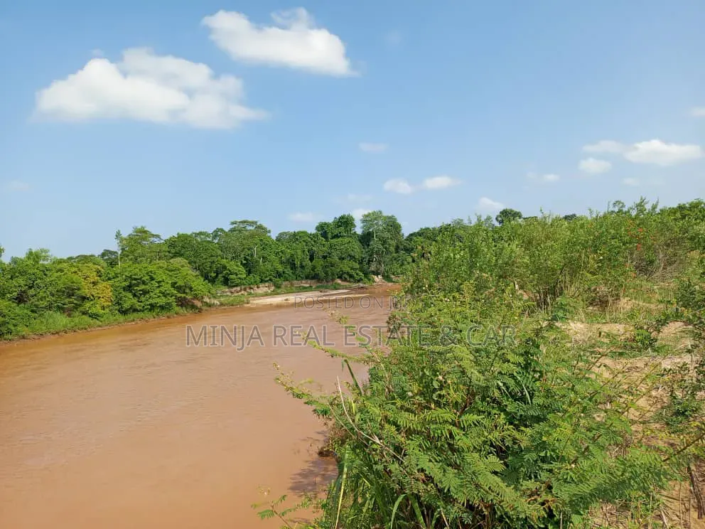 The Farm or Shamba for Irrigation for Sale Nearly Wami River in Kiwangwa