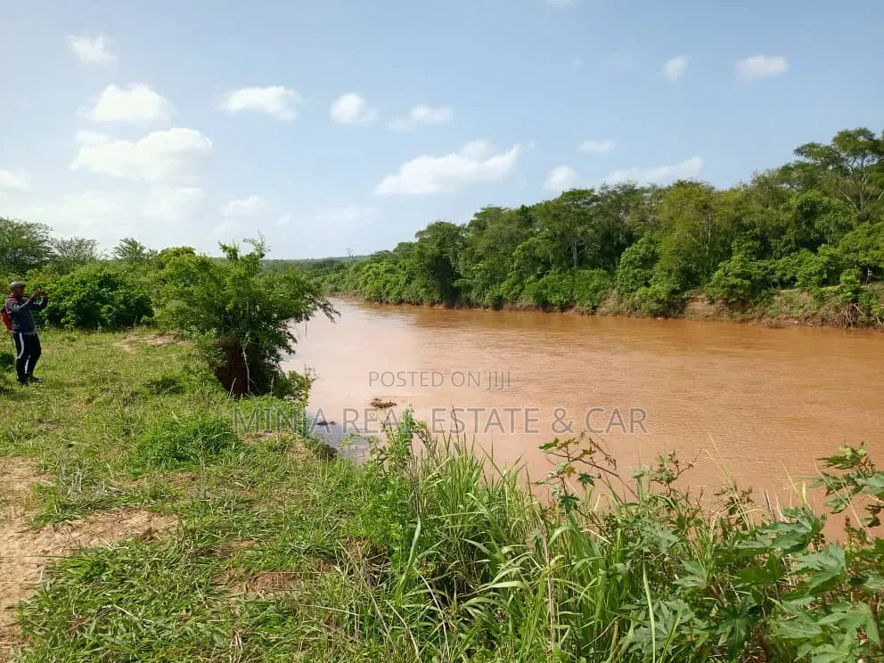 The Farm or Shamba for Irrigation for Sale Nearly Wami River in Kiwangwa