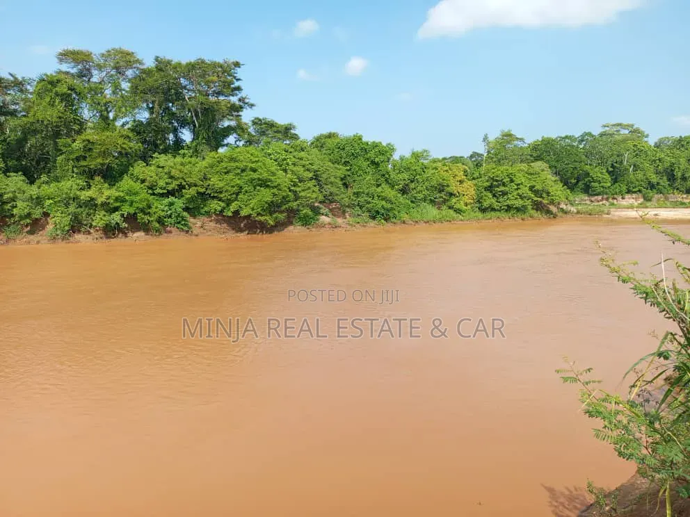 The Farm or Shamba for Irrigation for Sale Nearly Wami River in Kiwangwa