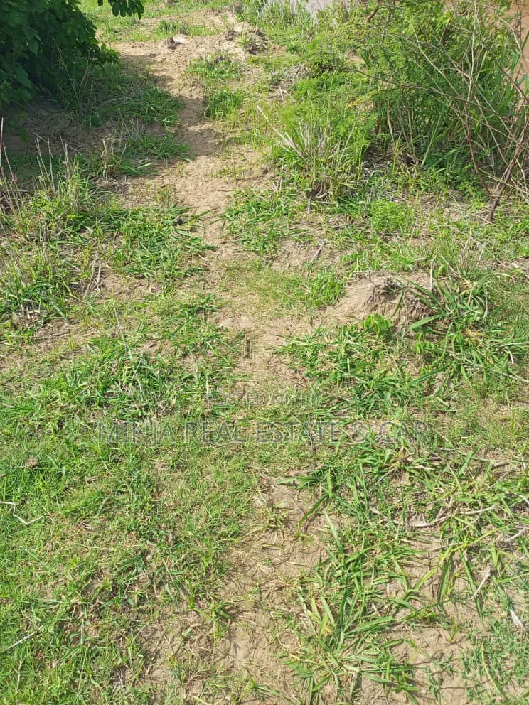 The Farm or Shamba for Irrigation for Sale Nearly Wami River in Kiwangwa