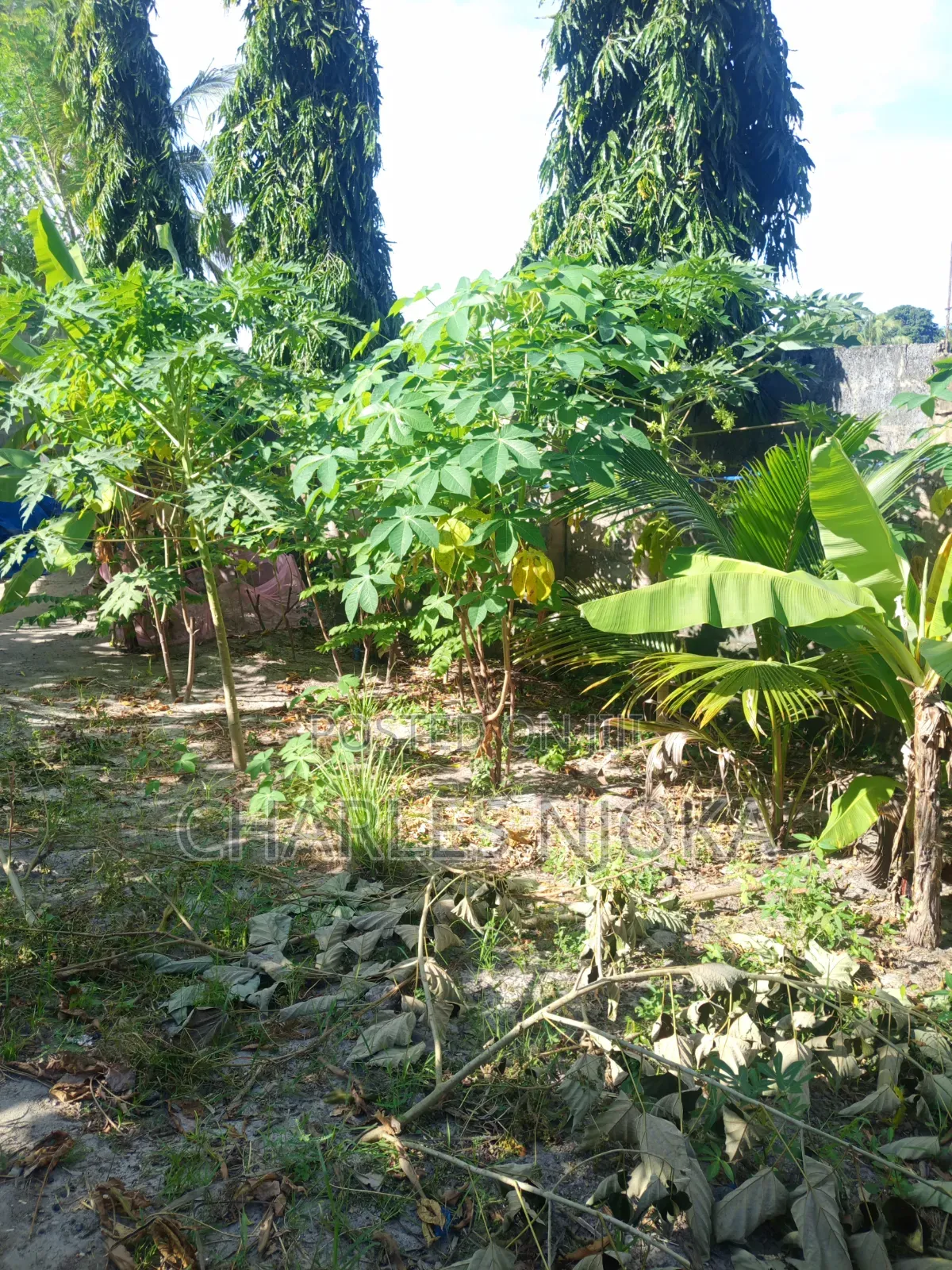 3bdrm House in Moshi Bar Kwadiwani, Ilala for sale in Ilala