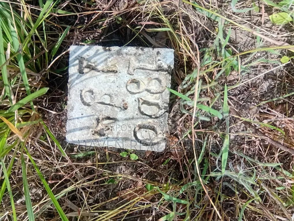 150 Acres for Sale at Mlandizi Kibaha Pwani in Mlandizi