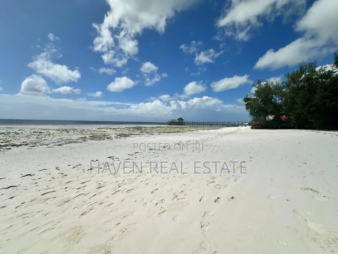 Beach Plot for Sale at Jambiani Zanzibar in Kaskazini A