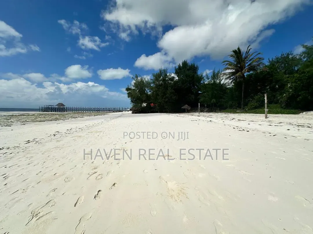 Beach Plot for Sale at Jambiani Zanzibar in Kaskazini A
