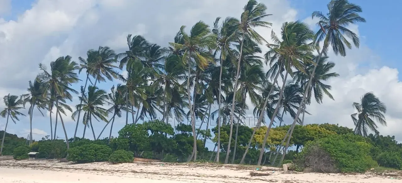 Beach Plot for Sale at Makunduchi Zanzibar in Kaskazini A
