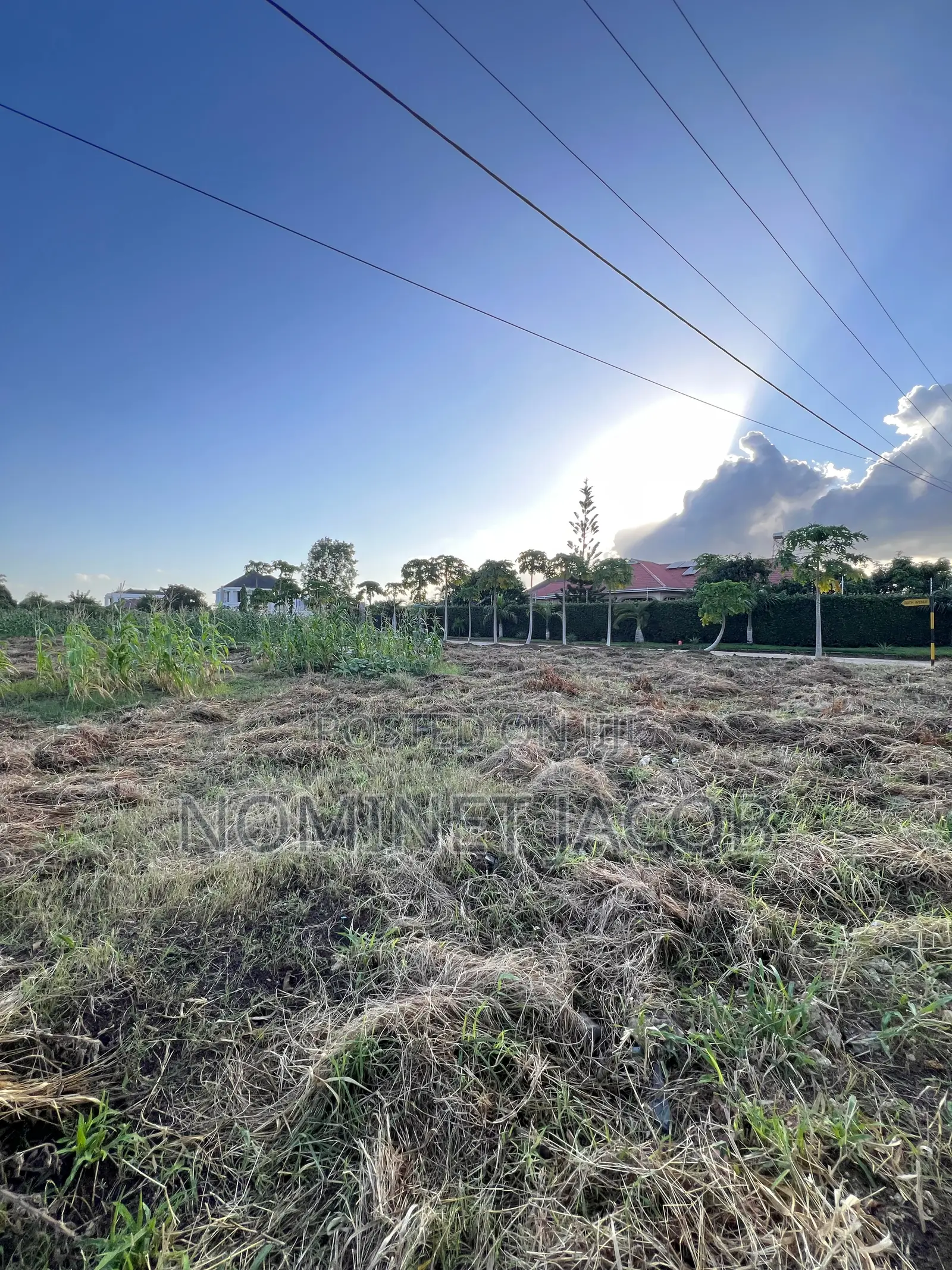 Plot for Sale in Mbweni