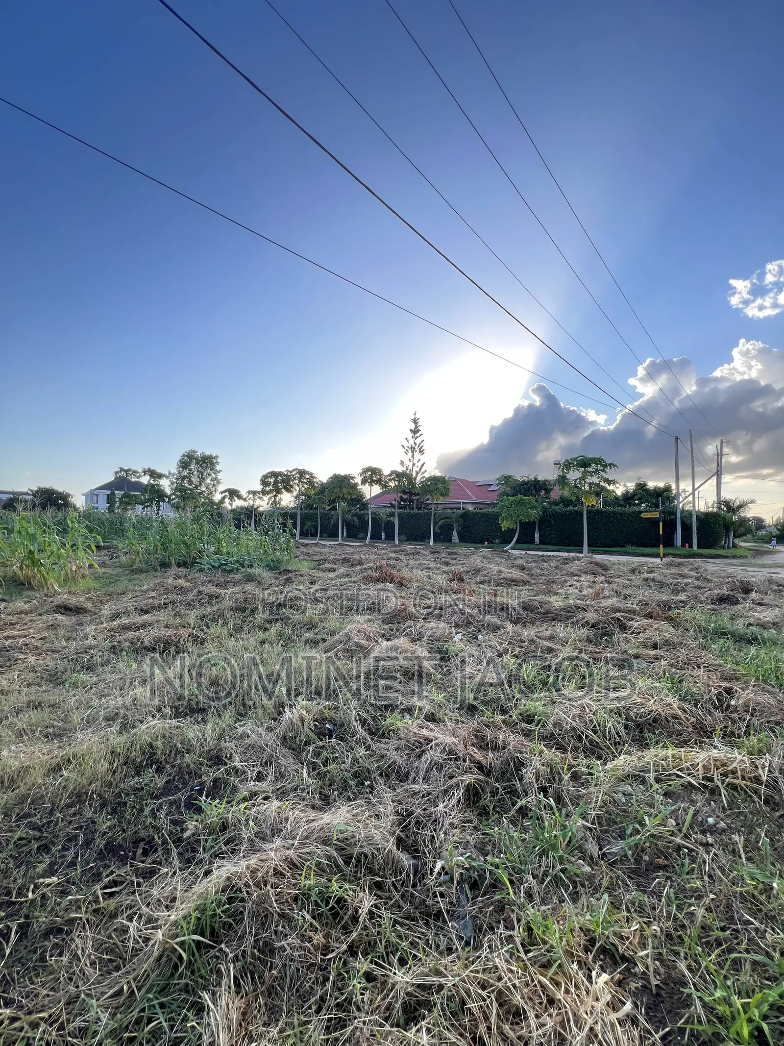 Plot for Sale in Mbweni
