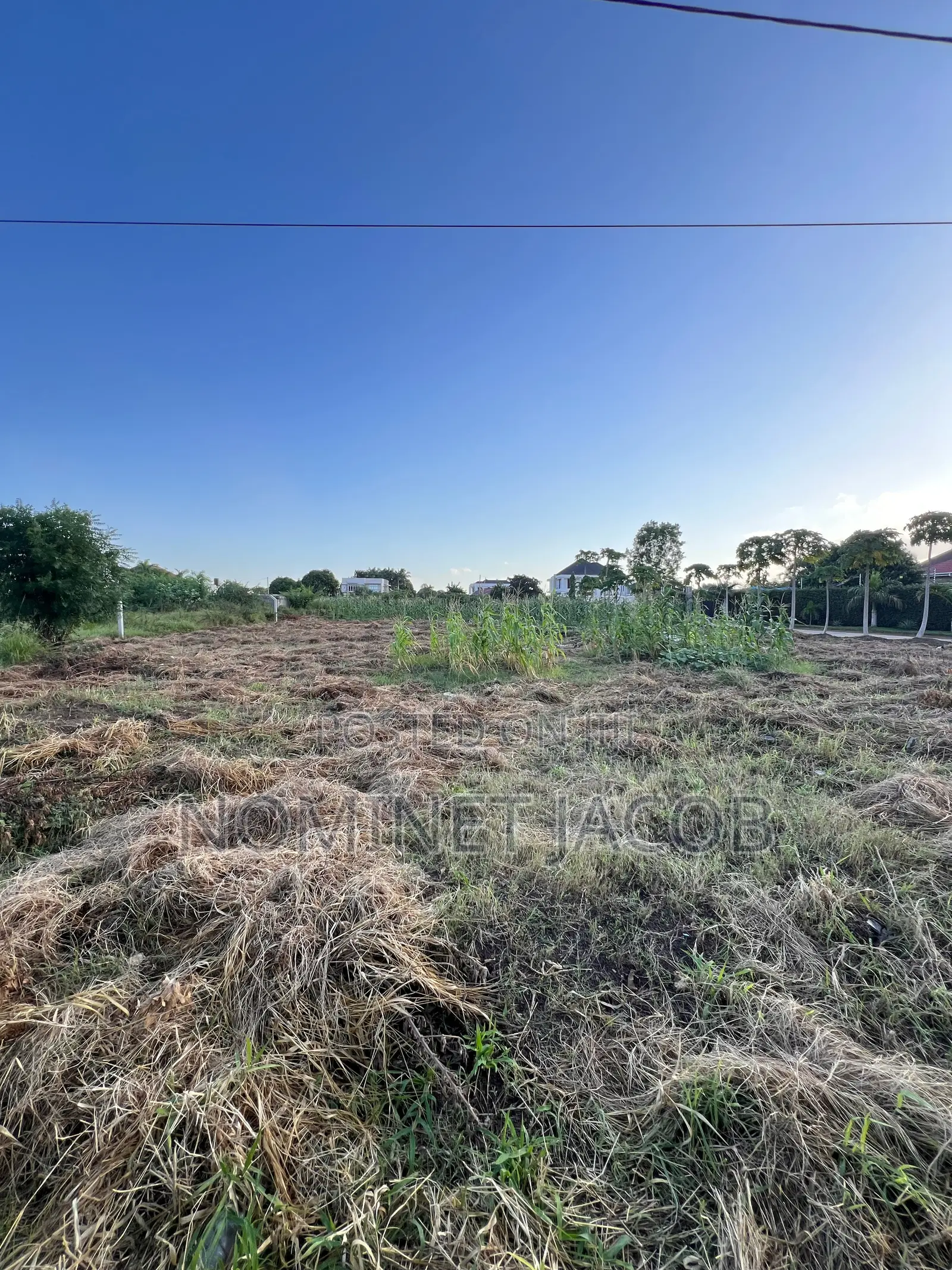 Plot for Sale in Mbweni