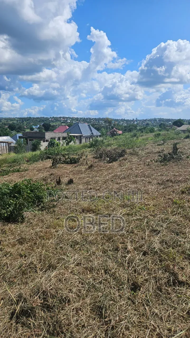 Tunauza Na Kukopesha Viwanja Kibaha Kwa Matiasi Na Boko Mnemela in Kibaha