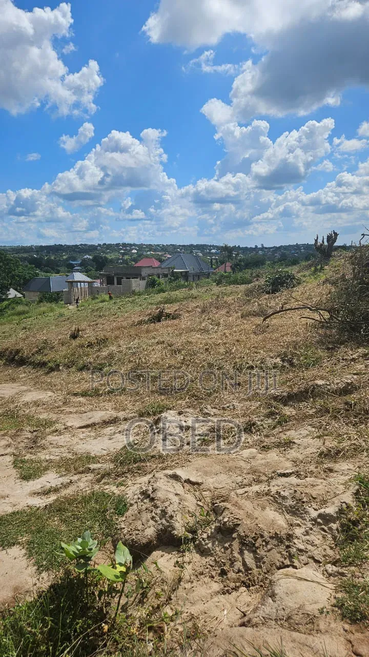 Tunauza Na Kukopesha Viwanja Kibaha Kwa Matiasi Na Boko Mnemela in Kibaha