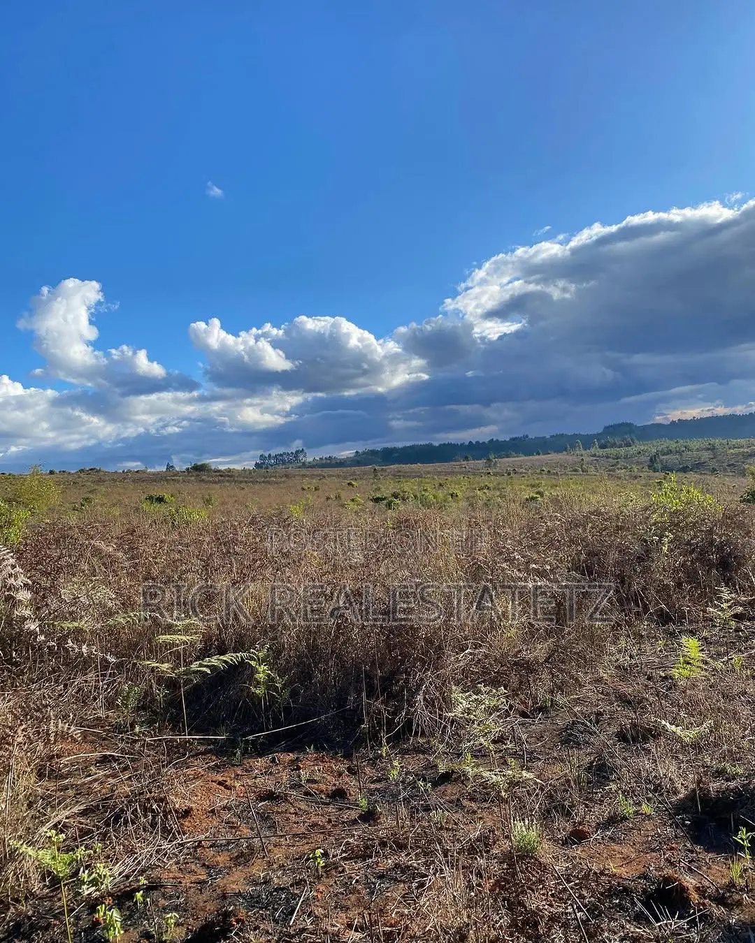 Shamba Linauzwa Mkoa Wa Pwani - Kisarawe (Gwata) in Cholesamvula