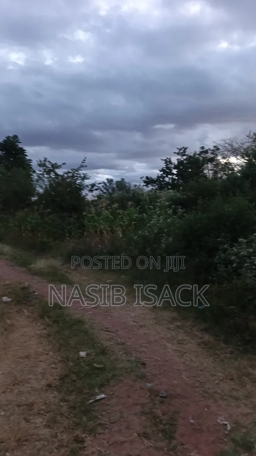 Plot for Sale in Nyamongoro