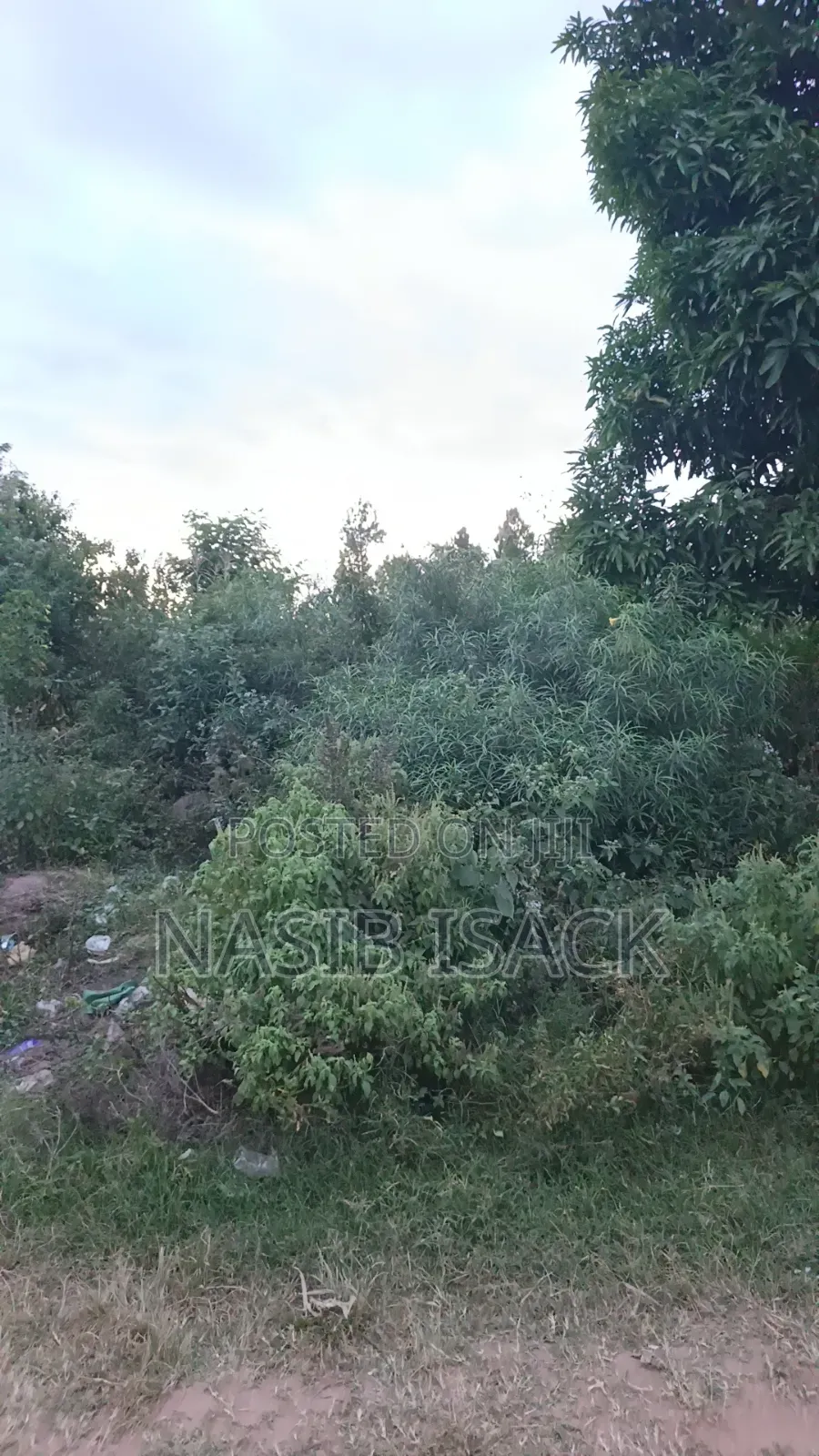 Plot for Sale in Nyamongoro