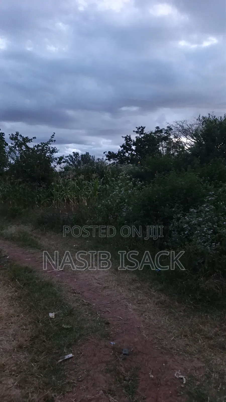 Plot for Sale in Nyamongoro