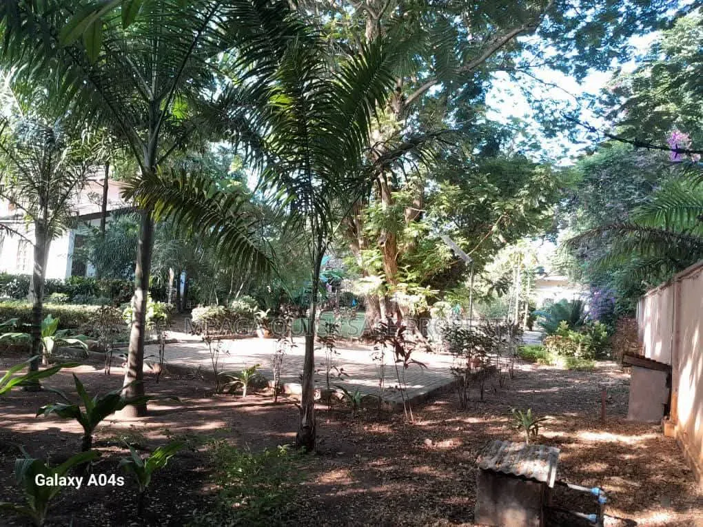 Plot Area SQM 3616 for Sale Oyster Bay in Oyster Bay