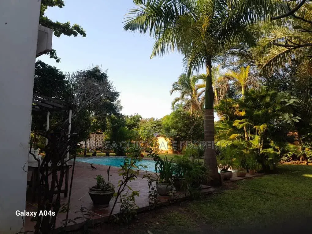 Plot Area SQM 3616 for Sale Oyster Bay in Oyster Bay