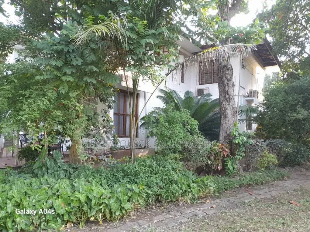 Plot Area SQM 3616 for Sale Oyster Bay in Oyster Bay