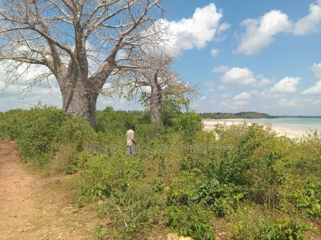 Beach Plot With 4 Acres for Sale at Kigamboni Mwasonga in Kigamboni