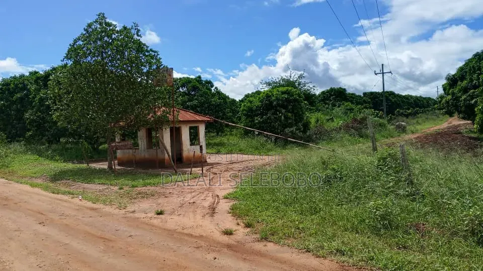 Hector 500 at Kabuku Tanga Handeni in Kabuku