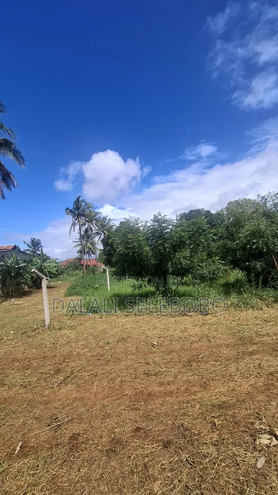 Plot at Mikocheni B Near Mwenge Investment Centre in Mikocheni