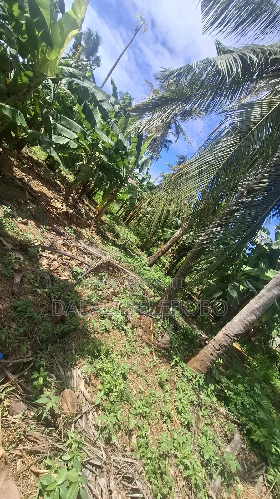 Industry Plot at Salasala Iptl in Mbezi Beach