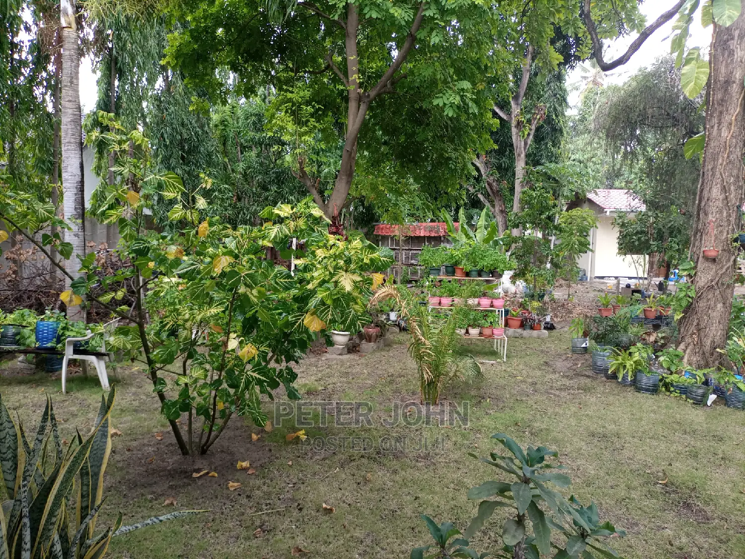 Furnished Studio Apartment in Mikocheni for rent in Mikocheni