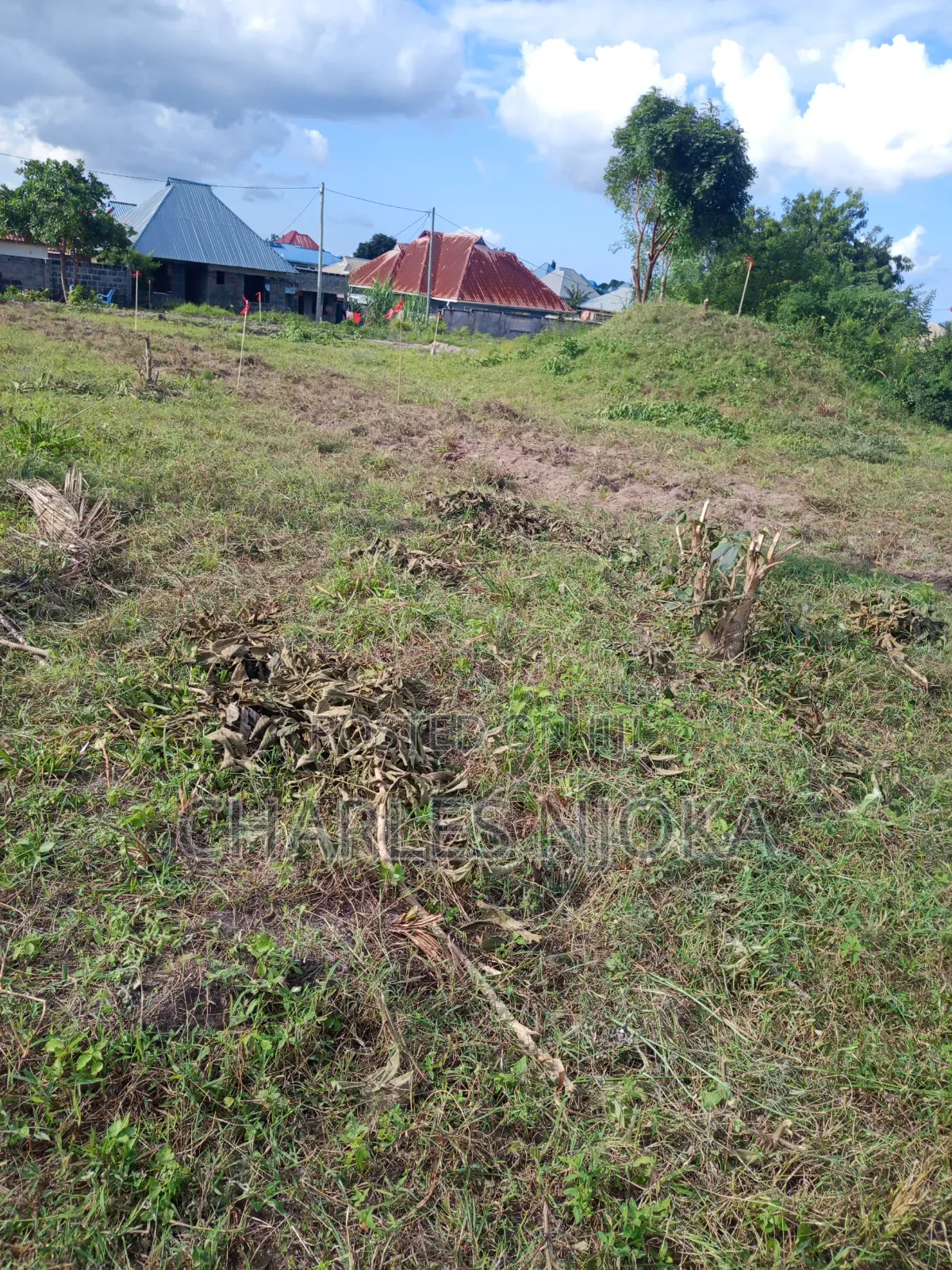 Plots for Sale in Ilala
