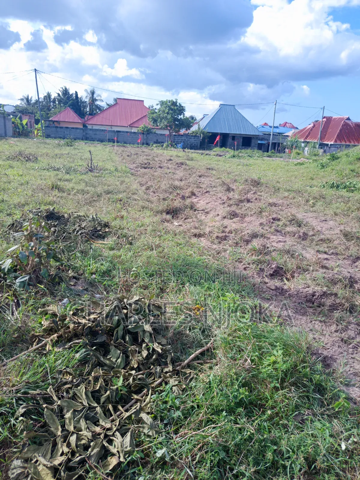 Plots for Sale in Ilala